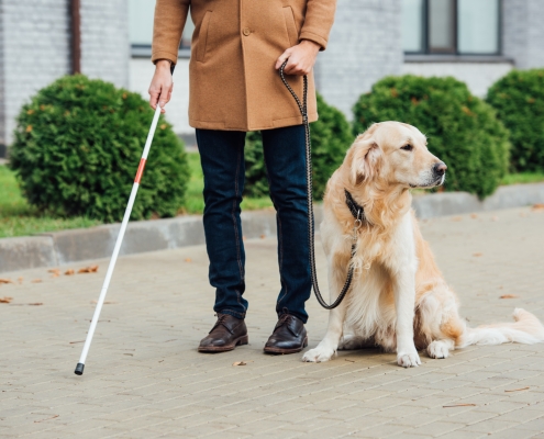 Persona con su perro de asistencia