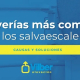averias mas c9munes salvaescaleras